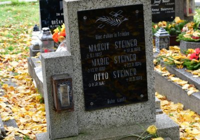 Chomutov městský, Omnium, 2020