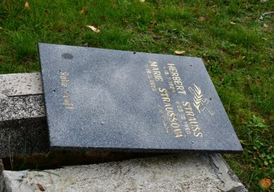 Chomutov městský, Omnium, 2020