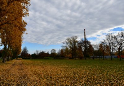 Chomutov městský, Omnium, 2020