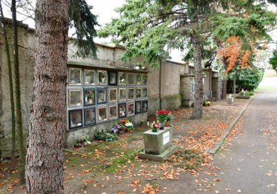 Chomutov městský, Omnium, 2020