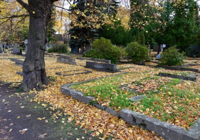 Chomutov městský, Omnium, 2020