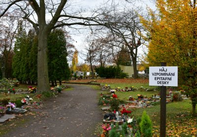 Chomutov městský, Omnium, 2020