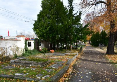 Chomutov městský, Omnium, 2020