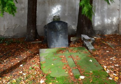 Chomutov městský, Omnium, 2020