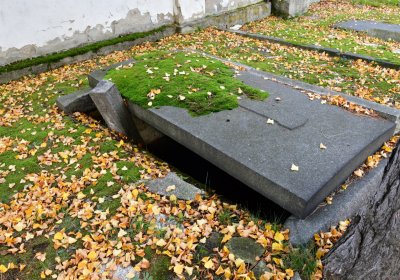 Chomutov městský, Omnium, 2020