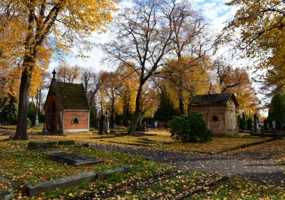 Chomutov městský, Omnium, 2020