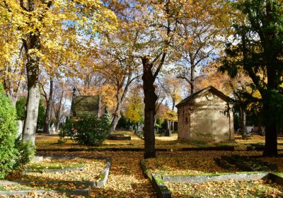 Chomutov městský, Omnium, 2020