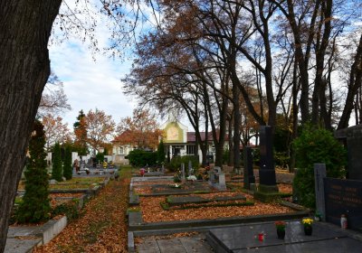 Chomutov městský, Omnium, 2020