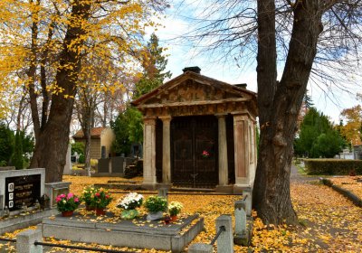 Chomutov městský, Omnium, 2020