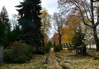 Chomutov městský, Omnium, 2020