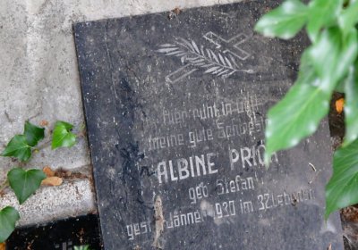 Chomutov městský, Omnium, 2020