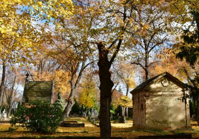 Chomutov městský, Omnium, 2020