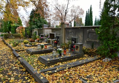 Chomutov městský, Omnium, 2020