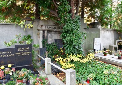 Chomutov městský, Omnium, 2020