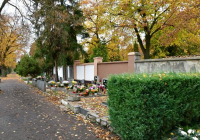 Chomutov městský, Omnium, 2020