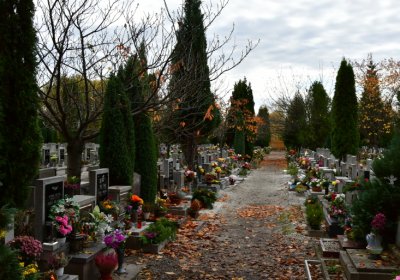 Chomutov městský, Omnium, 2020