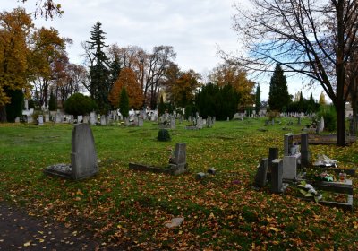 Chomutov městský, Omnium, 2020