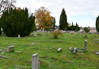 Chomutov městský, Omnium, 2020