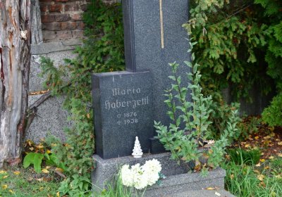 Chomutov městský, Omnium, 2020