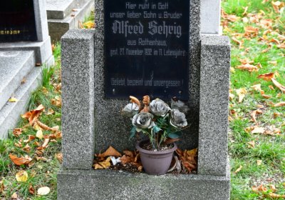 Chomutov městský, Omnium, 2020