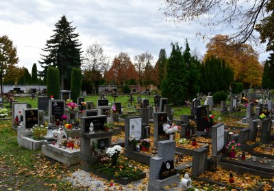 Chomutov městský, Omnium, 2020