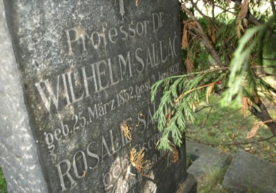 Bečvář Michal, Muzeum Chomutov, 2014