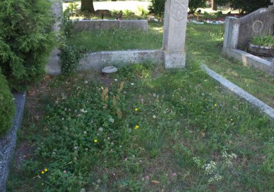 Bečvář Michal, Muzeum Chomutov, 2014