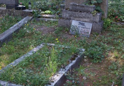 Bečvář Michal, Muzeum Chomutov, 2014