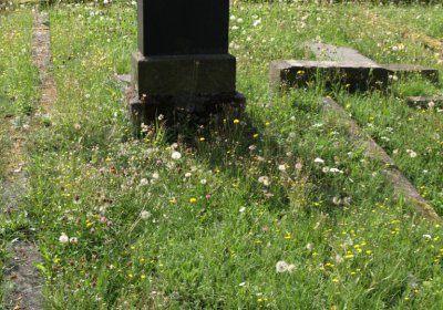 Bečvář Michal, Muzeum Chomutov, 2014