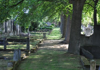 Horní Ves Chomutov, Omnium, 2020