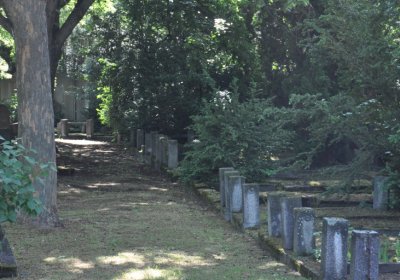 Horní Ves Chomutov, Omnium, 2020