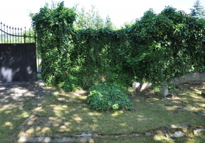 Horní Ves Chomutov, Omnium, 2020