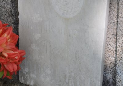 Horní Ves Chomutov, Omnium, 2020