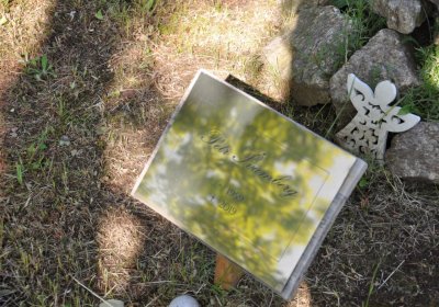 Horní Ves Chomutov, Omnium, 2020