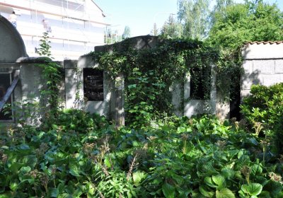 Horní Ves Chomutov, Omnium, 2020