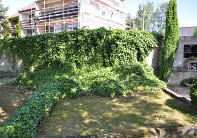 Horní Ves Chomutov, Omnium, 2020