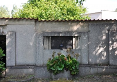 Horní Ves Chomutov, Omnium, 2020