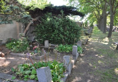 Horní Ves Chomutov, Omnium, 2020