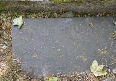 Horní Ves Chomutov, Omnium, 2020