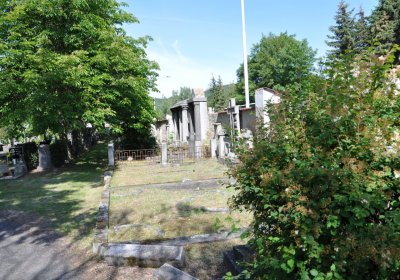 Horní Ves Chomutov, Omnium, 2020