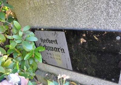 Horní Ves Chomutov, Omnium, 2020