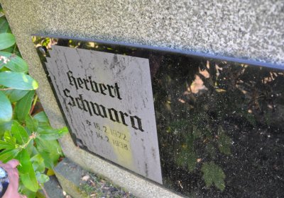 Horní Ves Chomutov, Omnium, 2020