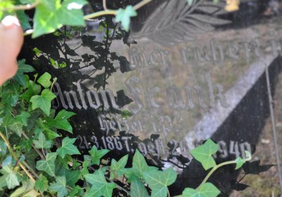 Horní Ves Chomutov, Omnium, 2020