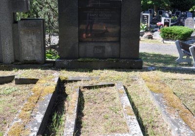 Horní Ves Chomutov, Omnium, 2020