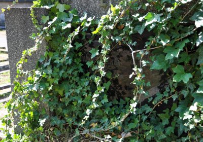 Horní Ves Chomutov, Omnium, 2020