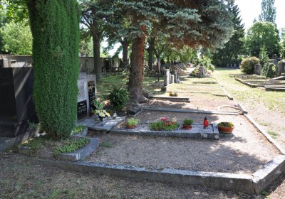 Horní Ves Chomutov, Omnium, 2020