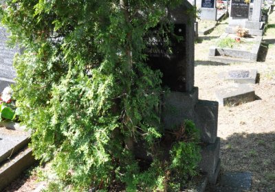 Horní Ves Chomutov, Omnium, 2020