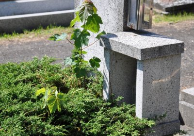 Horní Ves Chomutov, Omnium, 2020