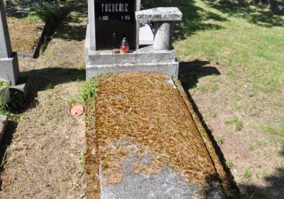 Horní Ves Chomutov, Omnium, 2020