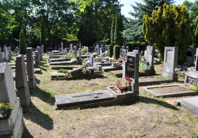 Horní Ves Chomutov, Omnium, 2020